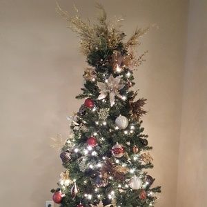 Meet your Posher, Echo